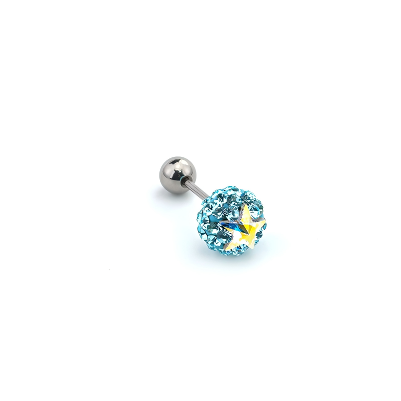 Titanium Flat Back Earrings