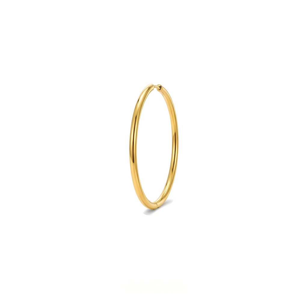 Single Large F136 Titanium Hoop Earring