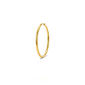 Single Large F136 Titanium Hoop Earring