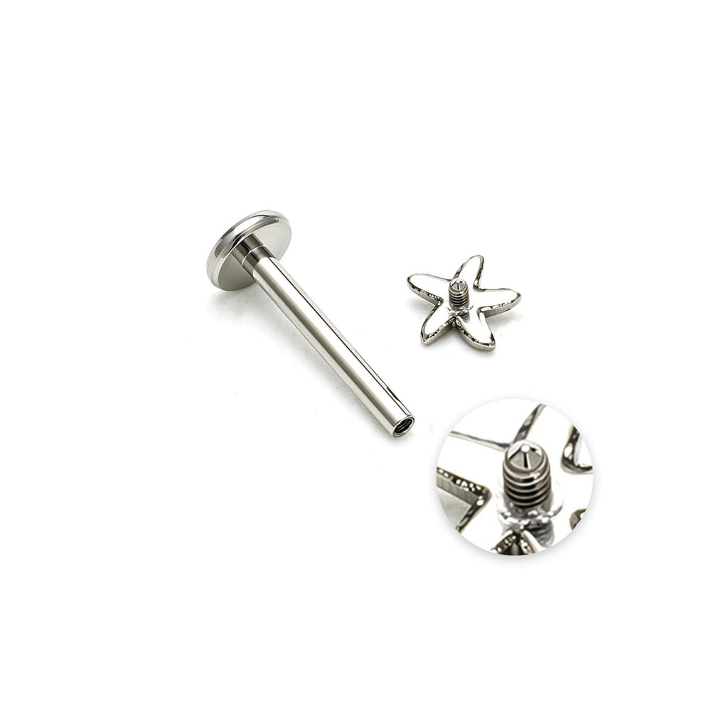 Starfish F136 Titanium Flat Back Stud Earrings
