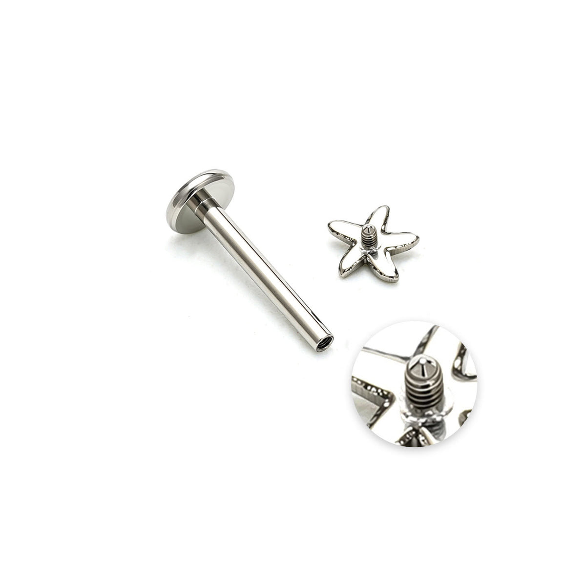 Starfish F136 Titanium Flat Back Stud Earrings